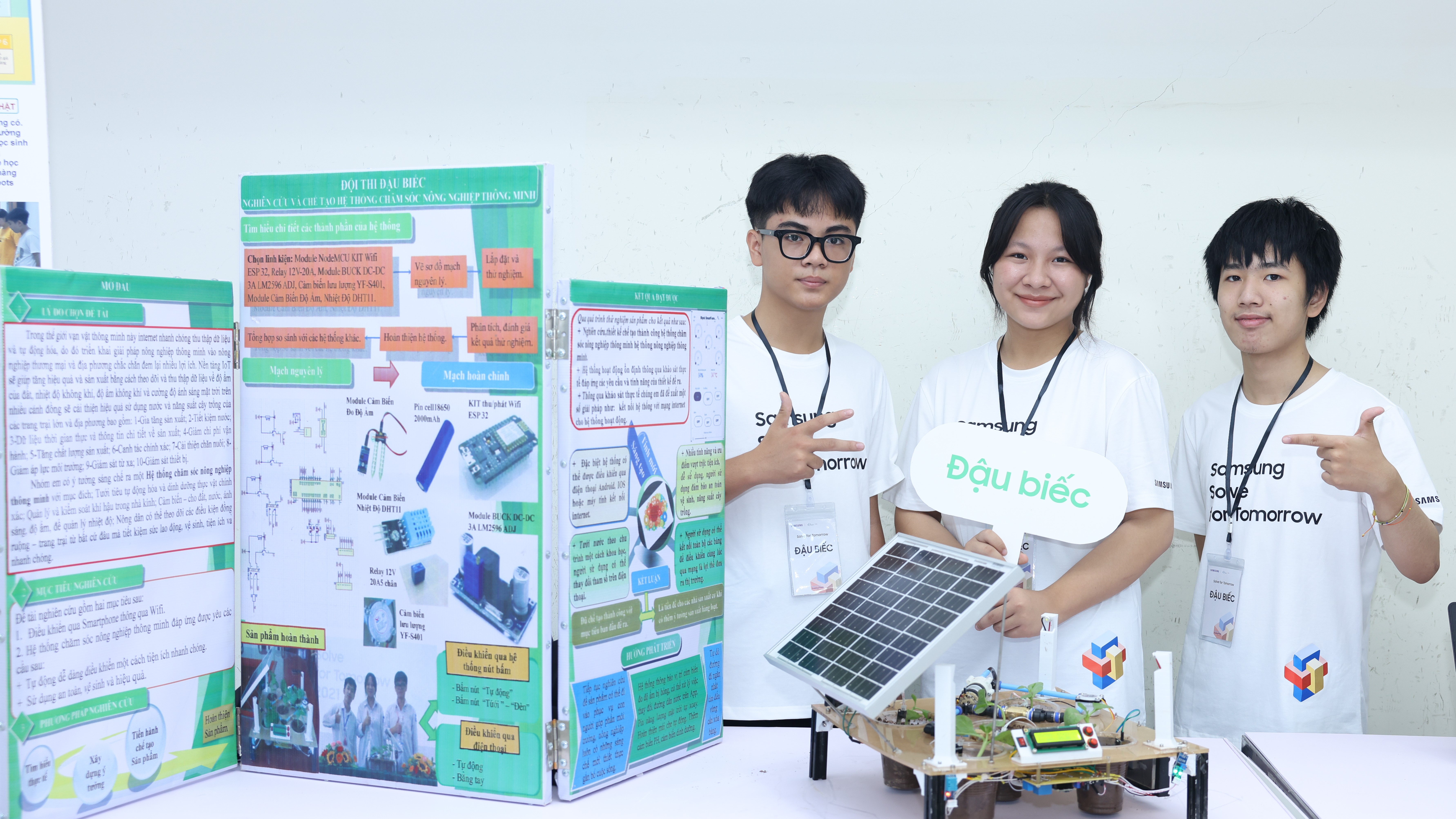 Đậu biếc
